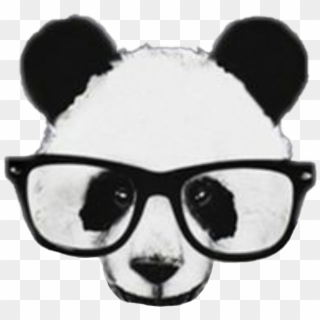#panda #lentes #panditacool #pandabonito #negro #blanco - Imagenes De Pandas Con Lentes, HD Png Download