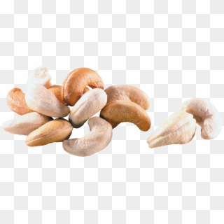 Cashew, HD Png Download
