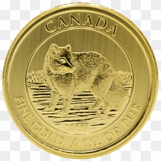 Gold Canadian Arctic Fox 1/4 Oz - Coin, HD Png Download