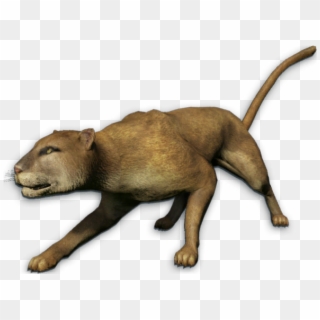Mountain Lion Clipart 3 Lion - Far Cry 3 Mountain Lion, HD Png Download