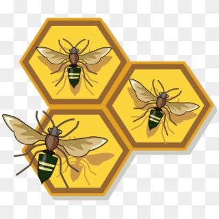 Honey Bee Free Clip Art , Png Download - Honey Bee Free Clip Art, Transparent Png