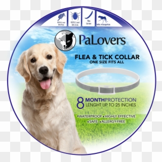 We Also Love Animals And Would Like To Offer You Our - Golden Retriever Dog Png, Transparent Png