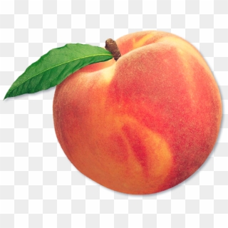 Peach Fruit Aesthetic Freetoedit Ⓒ - Dibujo De Un Durazno, HD Png Download