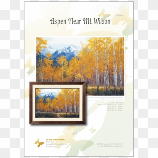 Cover Ecw 011 Aspen Near Mt Wilson - Picture Frame, HD Png Download