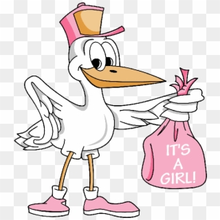 Its A Girl Bird, HD Png Download