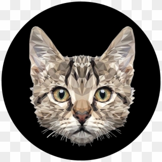Sticker Animals Cat Gato Tumblr Png Tumblr Transparent, Png Download