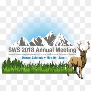 The Society Of Wetland Scientists 2018 Annual Meeting - Elk, HD Png Download