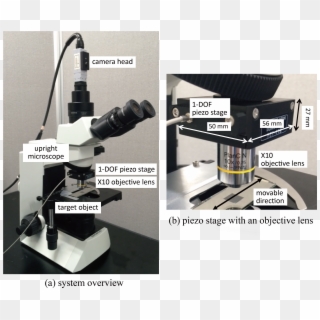 Motion Blur Free Microscope - Microscope, HD Png Download