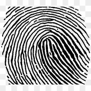 Fingerprint Clipart Large - Transparent Png Fingerprint Clip Art, Png Download