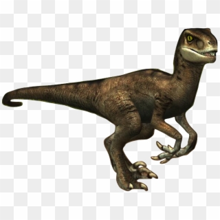 Donna The Velociraptor, HD Png Download