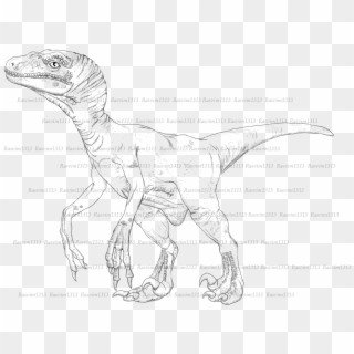 Drawn Velociraptor Realistic - Sketch, HD Png Download