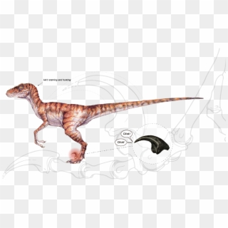 We Also Plan To Apply Bionical Simulations To Our Design - Lost World Jurassic Park Velociraptor, HD Png Download