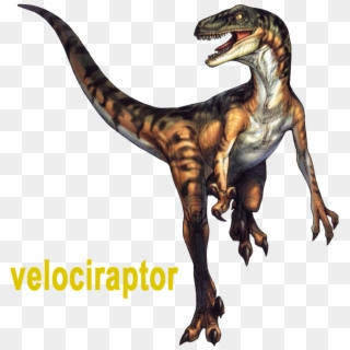 Velociraptor É Um Gênero Terópode Do Período Cretáceo - Velociraptor Dino Crisis, HD Png Download