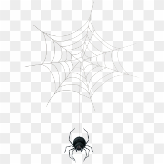 Spider Web Png Clip Art - Spider Web, Transparent Png