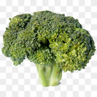 Sprouting Broccoli, HD Png Download