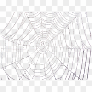 Drawn Spider Web Transparent Tumblr - Spider Web, HD Png Download