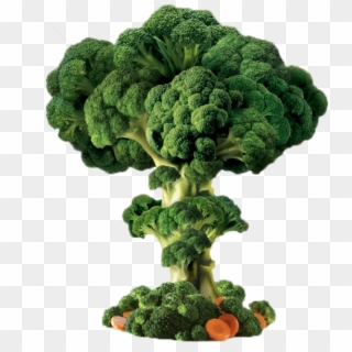 658 X 740 15 - Broccoli Explosion, HD Png Download