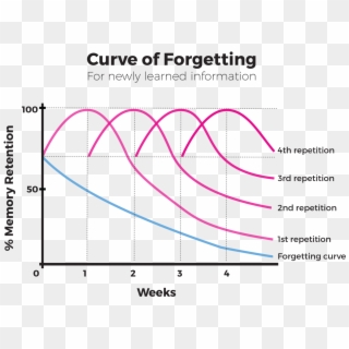 Curve Of Forgetting, HD Png Download