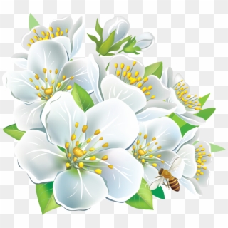 Free Png Download Large White Flowers Clipart Png Photo - White Flowers Clip Art, Transparent Png