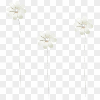 White Flower Png Transparent For Free Download Pngfind