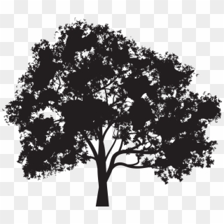 Tree Silhouette Png Clip Art Image, Transparent Png