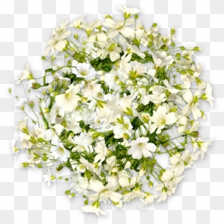 Bouquet, HD Png Download
