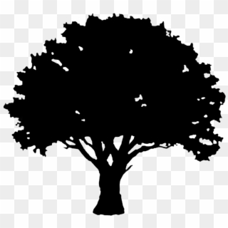 Silhouette Graphics Svg Library Stock - Tree Silhouette Clipart, HD Png Download
