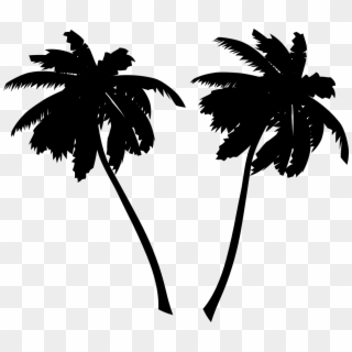Palm Tree Silhouette Png - Png Palm Trees, Transparent Png