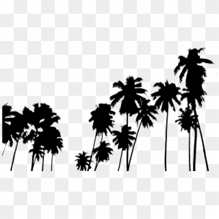 Tumblr Png - Palm Trees Overlay Png, Transparent Png