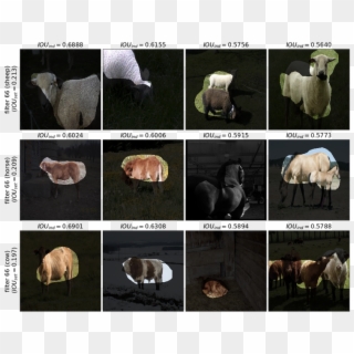 Alexnet Conv5 Filter 66 Appears Selective For Pastoral - Sheep, HD Png Download