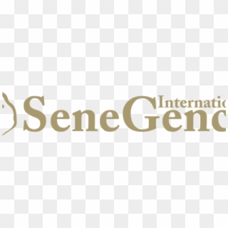 Senegence Is A Scam Or Isn't It Is This Mlm For Real - Ermenegildo Zegna, HD Png Download