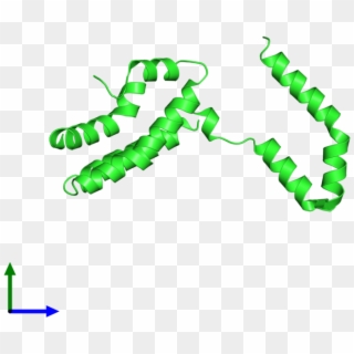 Pdb 1inr Coloured By Chain And Viewed From The Front, HD Png Download