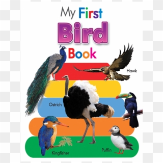 My Board Book Of Birds - Turkey, HD Png Download