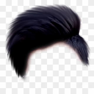 Hair Png - Editing Hair Png Hd, Transparent Png - 812x632(#957916) - PngFind