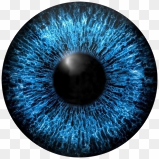 Blue Eyes Eye Sticker By Rajon Ahmed - Iris Eye Vector, HD Png Download