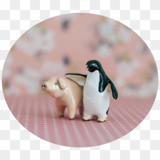 Penguin And Pig, HD Png Download