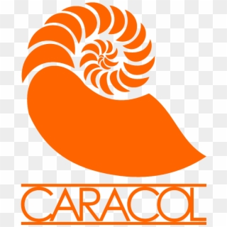Image - Caracol, HD Png Download
