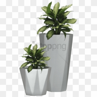 Free Png Transparent Flower Pot Png Image With Transparent - Plants In Pot Png, Png Download