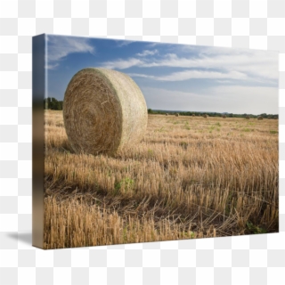 Hay Color Photography By Paul Huchton - Hay, HD Png Download