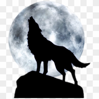 Pin By France Loyer On Loup Pinterest - Wolf And Moon Png, Transparent Png