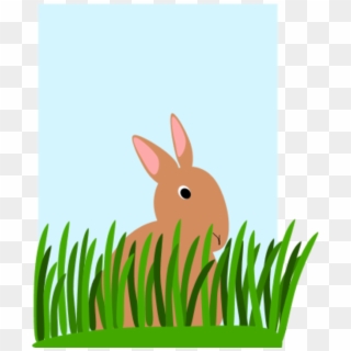 Bunnies Clipart Grass - Rabbit In The Grass Cartoon, HD Png Download