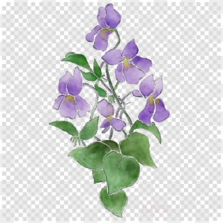 Drawing, Flower, Plant, Transparent Png Image Clipart - Clip Art, Png Download