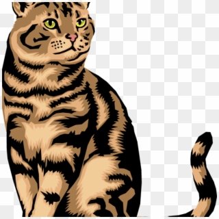 Cat Vector Real - Cat Free Clip Art, HD Png Download