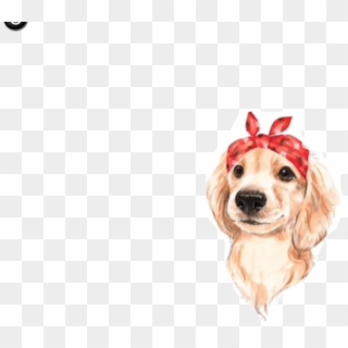 Images1 - Ella's Pup - Cute Dog White Background, HD Png Download