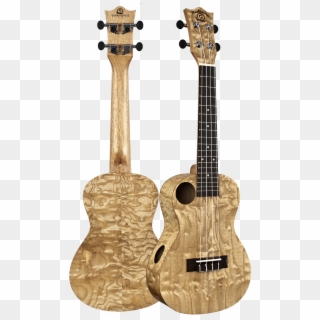 Snail Quilted Ash Ukulele - Bass Guitar, HD Png Download