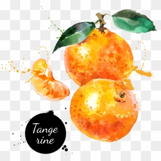 Watercolor Painting Tangerine Hand - Orange Fruit Watercolor Png, Transparent Png