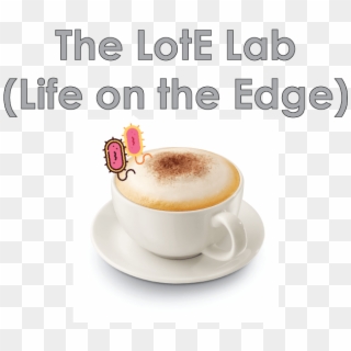 The Life On The Edge Lab At Uf Is Currently Being Constructed - Wiener Melange, HD Png Download