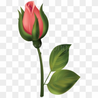 Free Png Download Stem Red Rose Bud Clipart Png Photo - Rose Buds Png, Transparent Png
