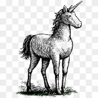 Unicorns Needed - Mane, HD Png Download