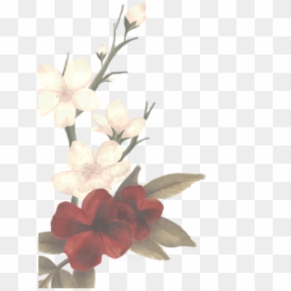 What Does This Mean Someone Plz Tell Me What You Know - Shawn Mendes Album Flowers, HD Png Download